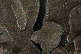 Polished Septarian Geode Sculpture - Black Crystals #99440-1